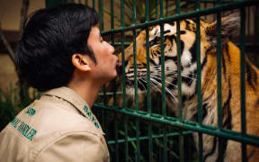 Alshad Ahmad and his four Bengal tigers are famous in Indonesia and on YouTube.