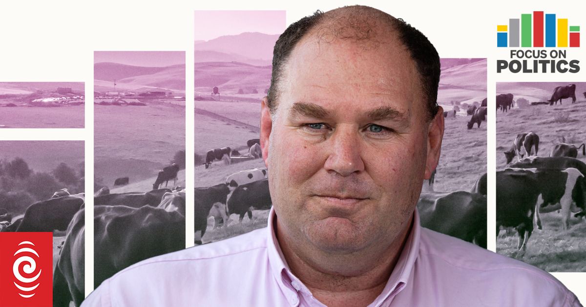 From lobbyist to legislator: Andrew Hoggard's vision for reform - Vimarsana News