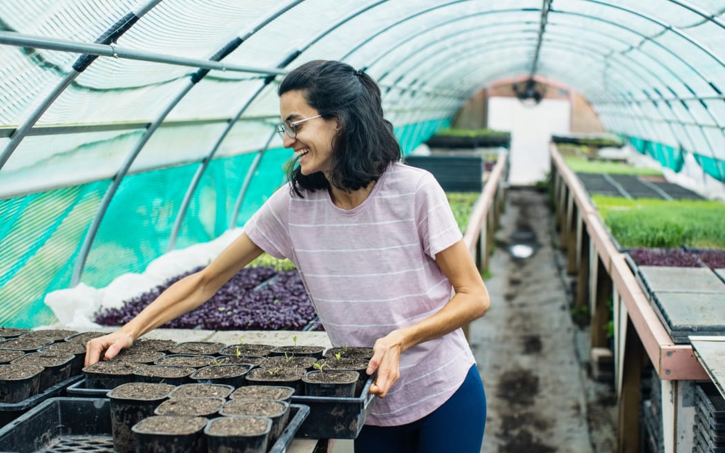 Farm manager Coral Remiro tending to seedlings.