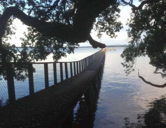 Kauri Point wharf.