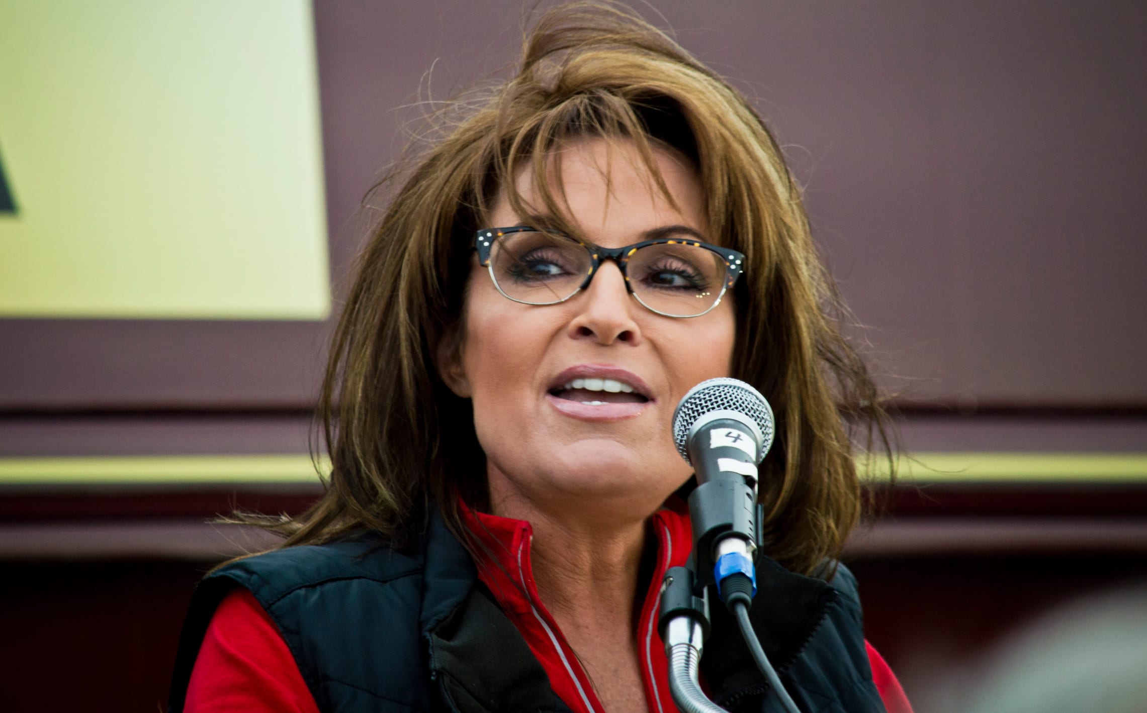 Sarah Palin has announced she will campaign for the Alaskan seat in the House.