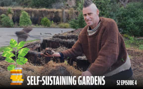 A man leans over a compost bin, holding up a handful of his compost and displaying it to the camera. In the foreground we catch a slightly blurred glimpse of a bird, possibly a piwakawaka, in motion flying away from the bin.