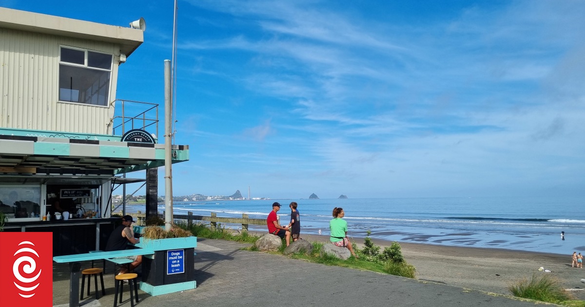 Proposed accessway to popular New Plymouth beach and reserve to cost $2.3m - Vimarsana News