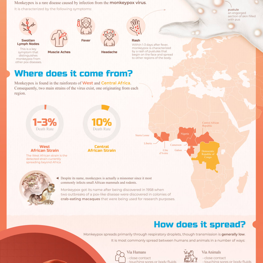 Infographic illustration explaining the symptoms, origin and spread of monkey pox disease. Monkey pox is a rare disease caused by the monkey pox virus that can infect humans and animals. Symptoms include rash, fever, chills, swollen lymph nodes, exhaustion, muscle aches, headache and respiratory problems. Symptoms usually start within 3 weeks of exposure to the virus. (Photo by VISUAL CAPITALIST/SCIENCE PHOTO / VCA / Science Photo Library via AFP)