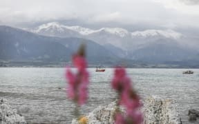 Looking towards Kaikoura ranges.