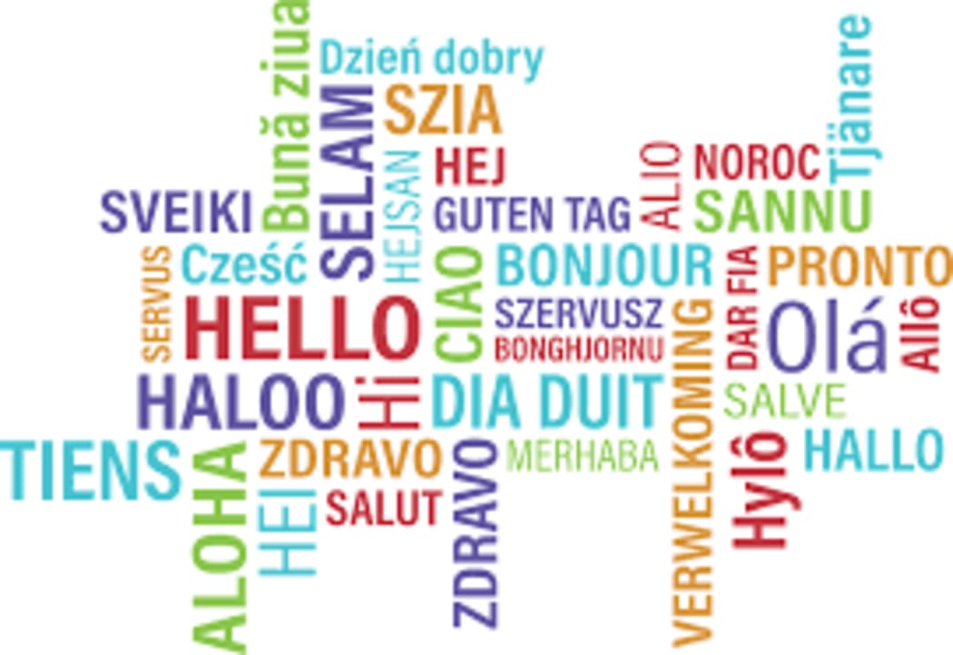 National Language Policy
