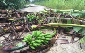 Cyclone Irene damage in Port Vila.
