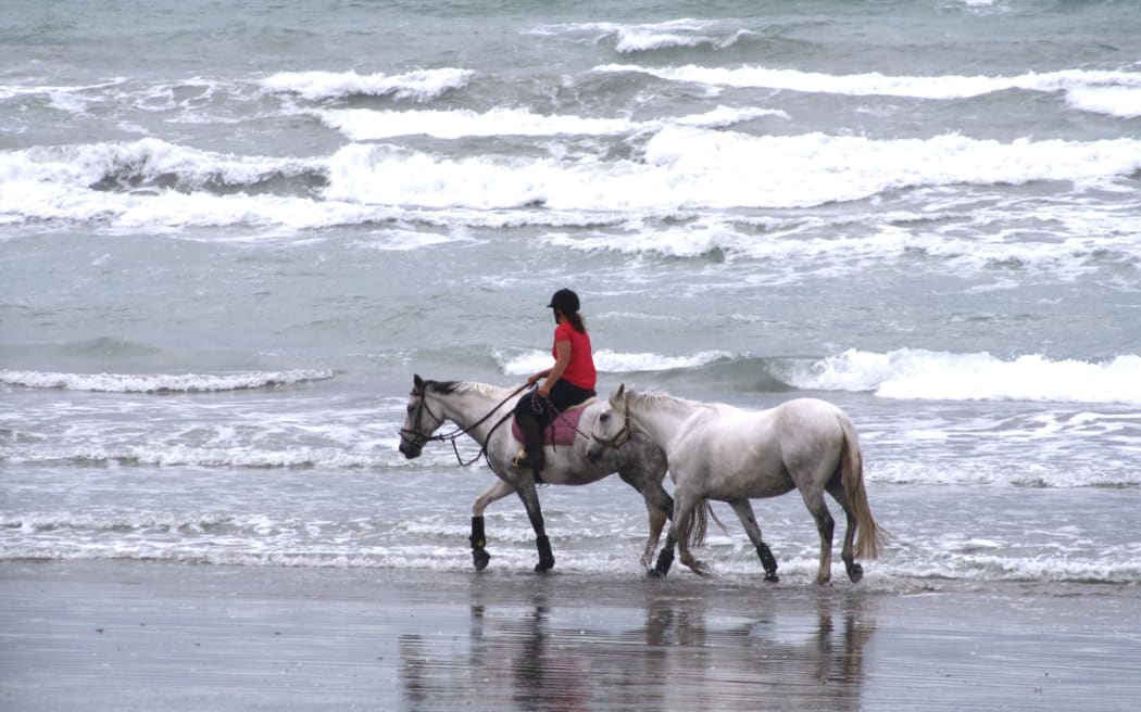 Under the new bylaw, walking, cycling and horse riding was still allowed along the coast.