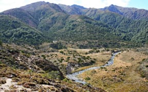 Waipakihi Hut