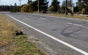 McLeans Island Road, Christchurch