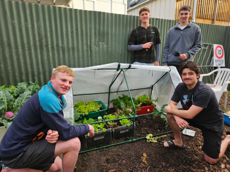 From left : Jake Corney, Cam Pooley, Angus Henry and Kieran Halforty.