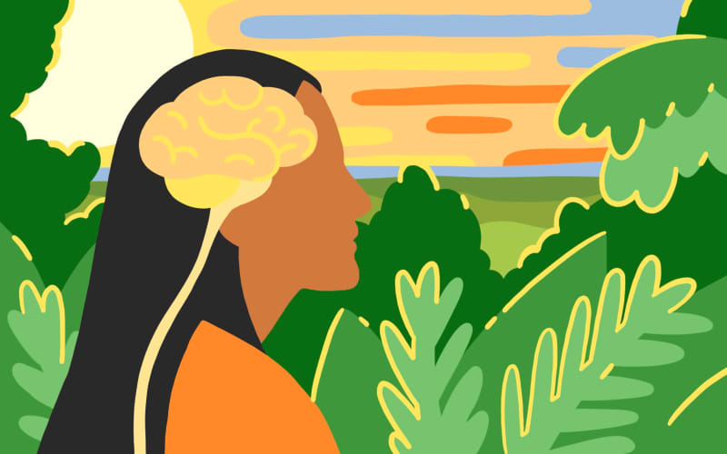 Profile of person and brain with vibrant coloured bush foliage and ocean sunset.