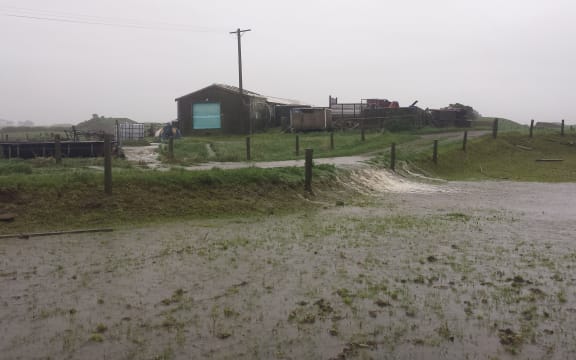 Vaughn Brophy's dairy farm has faced the wettest July and August he has seen.