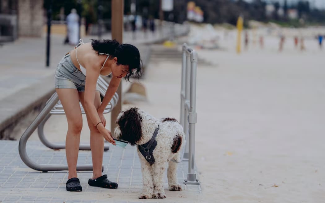 Fire risk in Australia - single use only