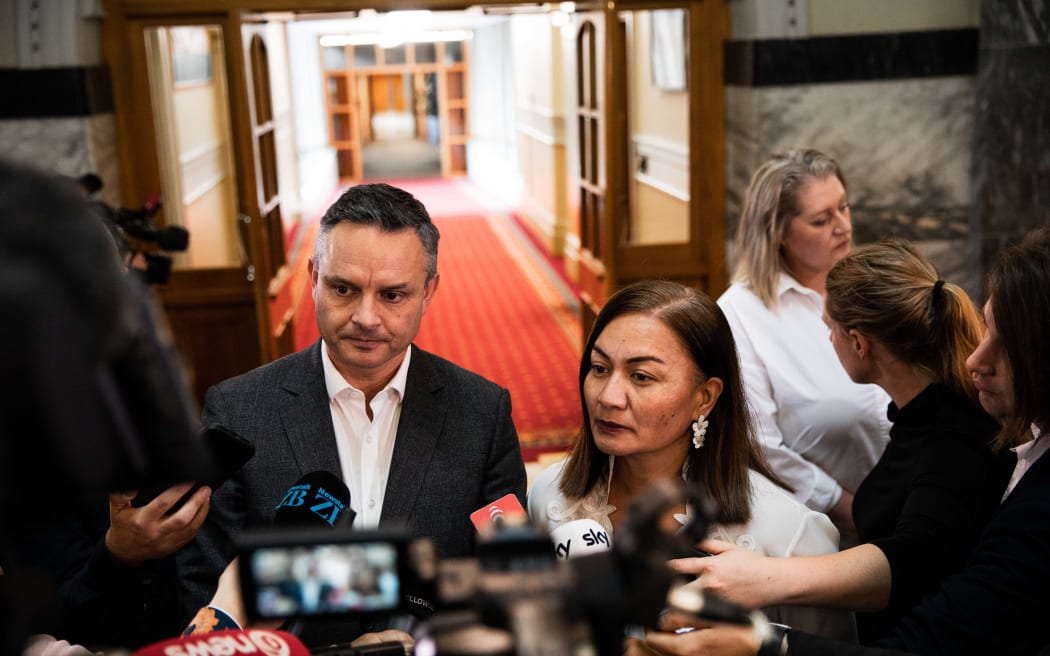 James Shaw and Marama Davidson