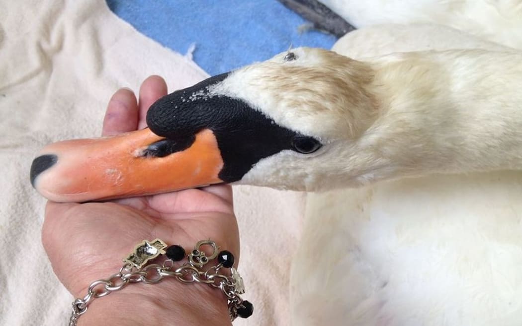 A bullet fragment found in Samuel's head.