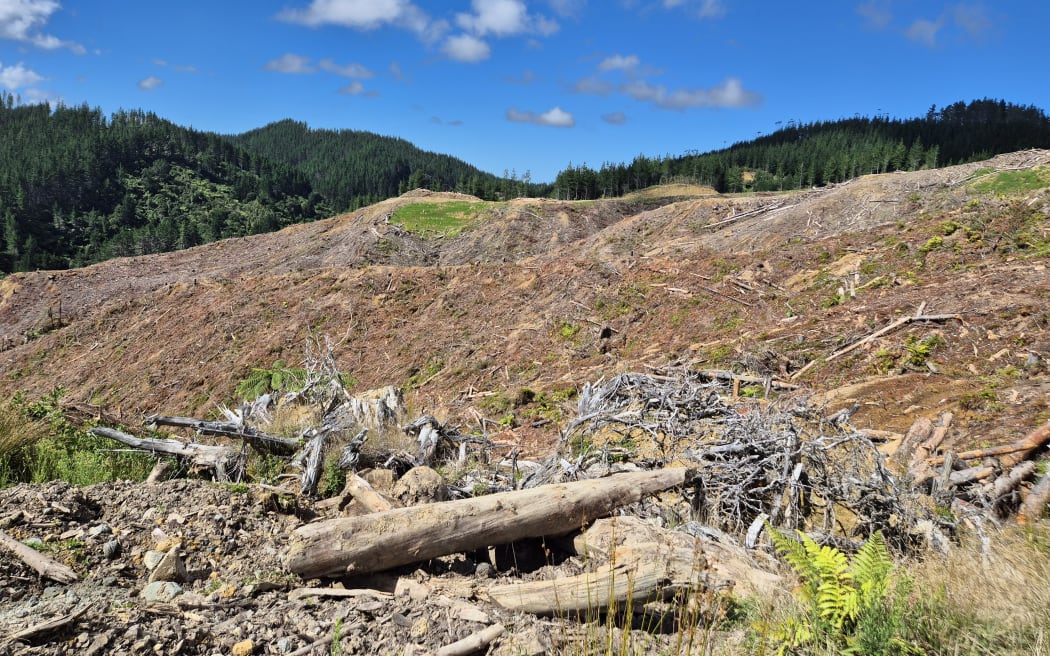 A harvesting site in the Waimata Valley near Gisborne.