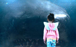 An image from the film, The Meg, which was largely filmed in New Zealand