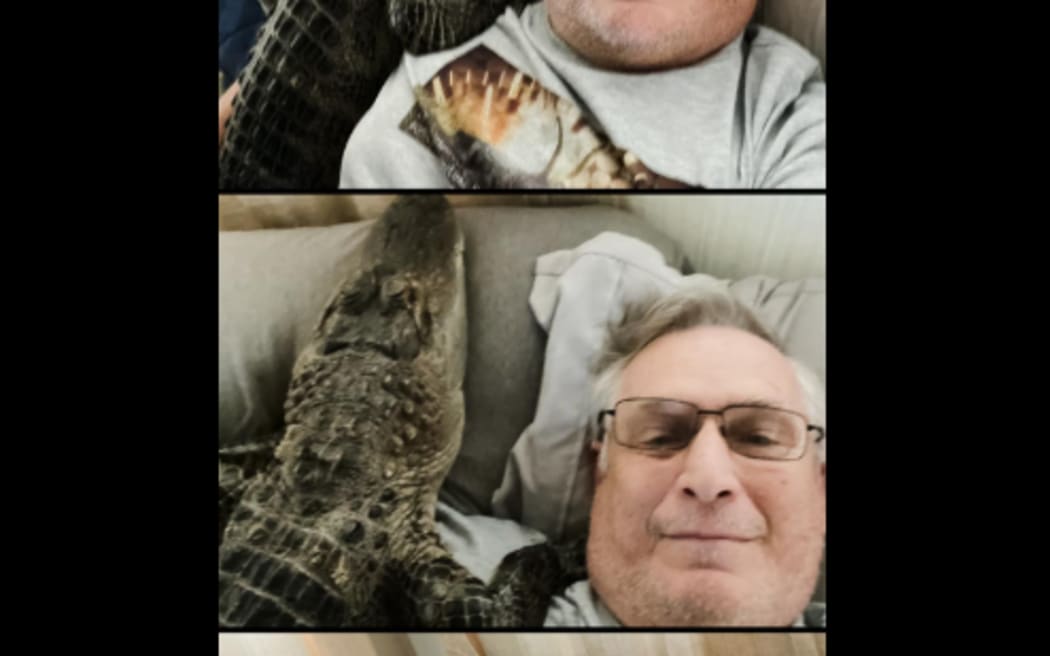 Wally Gator