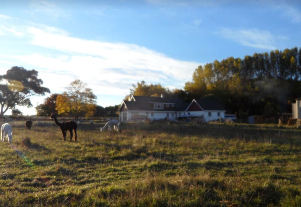 Robinwood Farms in Tai Tapu.