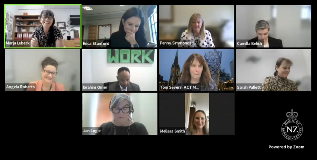 Parliament's Education and Workforce Committee in Zoom meeting