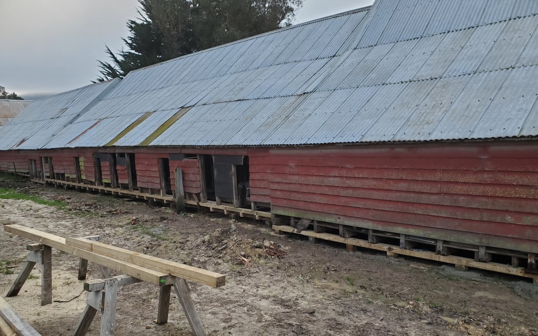 View of the back of Te Waimate Woolshed while undergoing repairs.