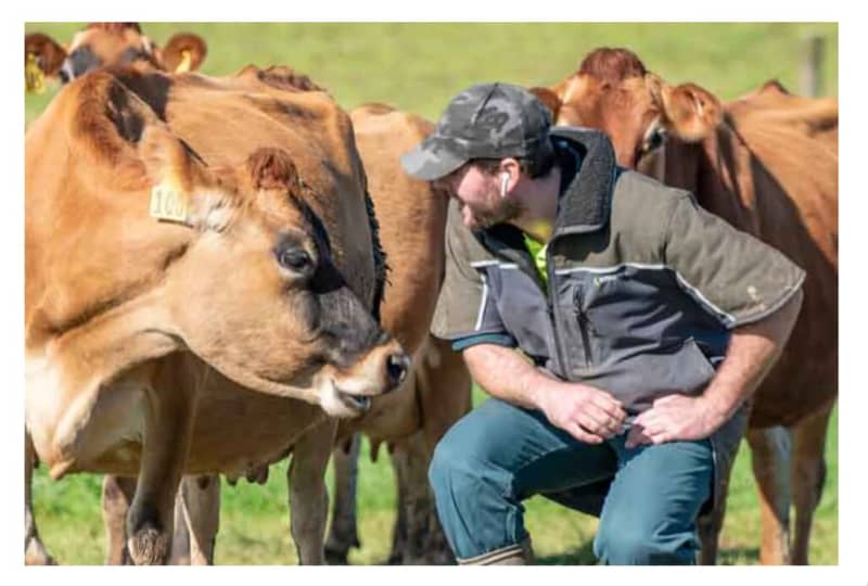 Wesley Nicholas has more than 60,000 followers and millions of views on TikTok.