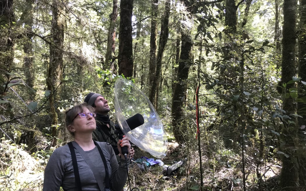 A woman with binoculars around her neck holds up a large plastic dish surrounding a microphone in the forest. Behind her, a man in a beanie looks up towards the canopy.