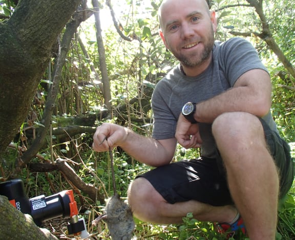 Robbie Greig from Good Nature, next to a self resetting rat trap screwed onto a small tree trunk, and holding a ship rat killed in the trap.