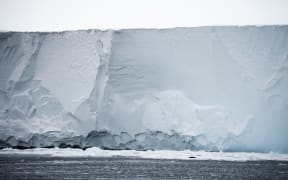 Seal sleeps on ice floe in front of the Ross Ice Shelf