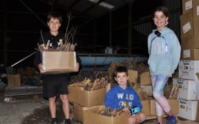 Thomas, Oliver and Isabella in the Monge-Grassi Kindling Factory in Pigeon Valley.