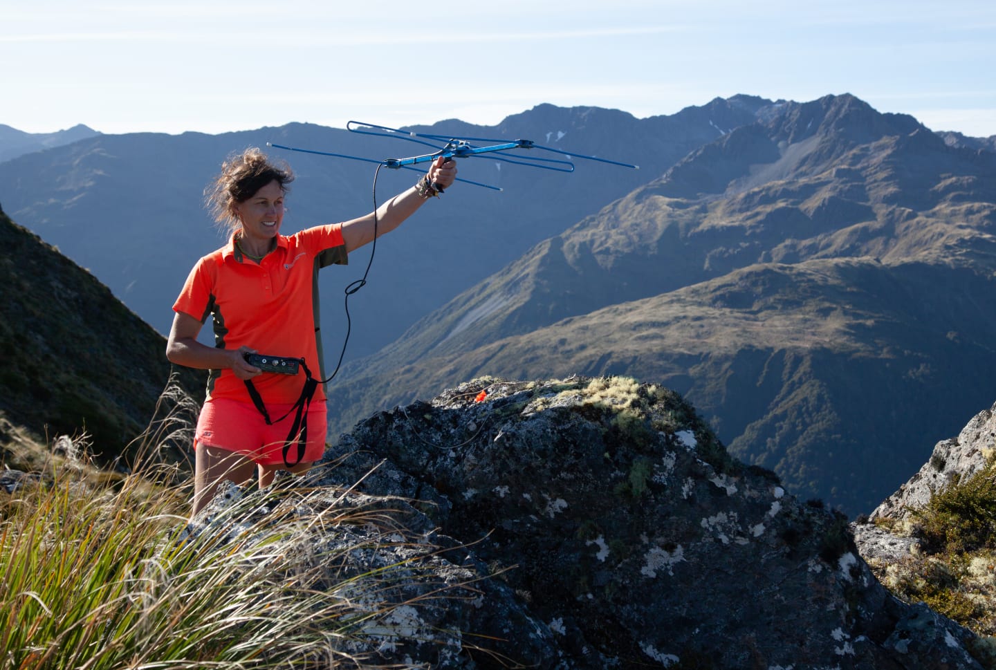 Laura Young locating declining populations of Kea in Doubtful Valley, North Canterbury
