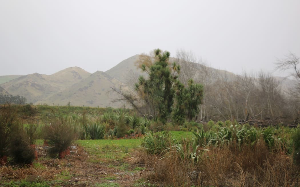 Mahinga kai site