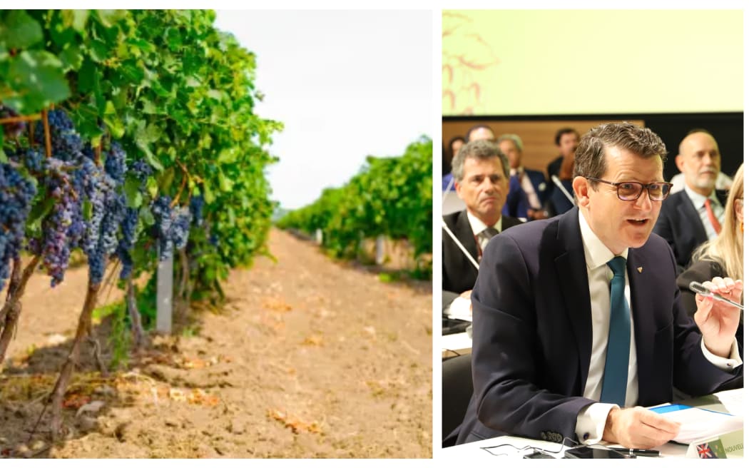 John Barker, director-general-designate of the International Organisation of Vine and Wine.