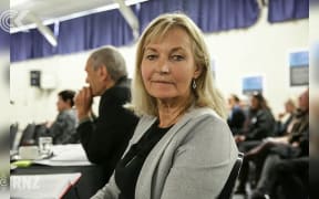 Public given opportunity to voice views as mental health system review panel launched