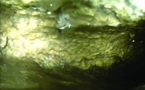 A fatberg blocking drains at Stephens Bay near Kaiteriteri.