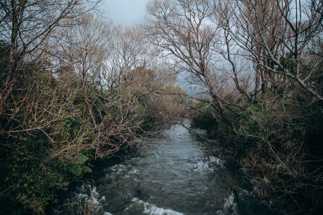 The Mangaore Stream, which flows down from the Tararua mountain range and through Shannon.