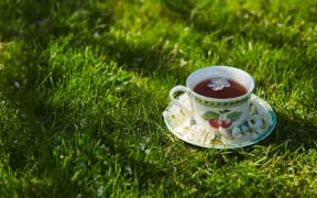 A cup of tea covered with a cherry flower on a grass