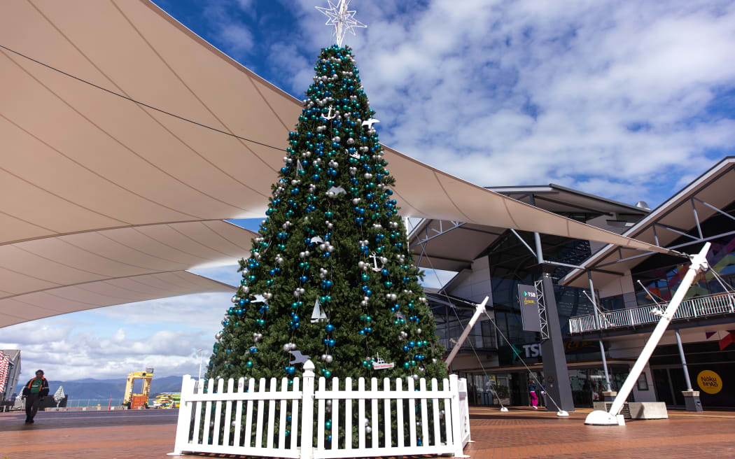 Christmas trees in Wellington
