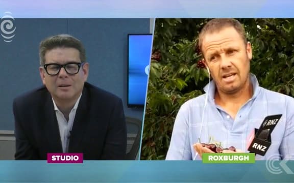 Cherry crops take a hit in Central Otago deluge