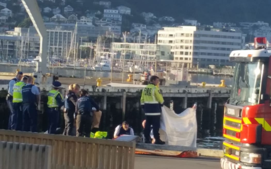 The Wellington waterfront this morning, where a body has been found.