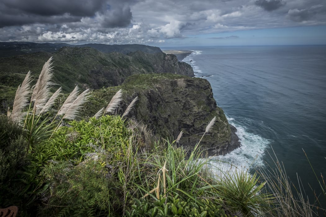 West Auckland Mercer Bay cliff area in the ongoing search for Kim Bambus.
Waitemata Detective Inspector Hayden Mander said searchers will scour the cliff area.
Ahu Ahu Track (Mercer Bay loop track) near Auckland's west coast beach of Piha.