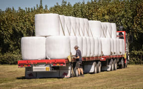 Harvesting and baling