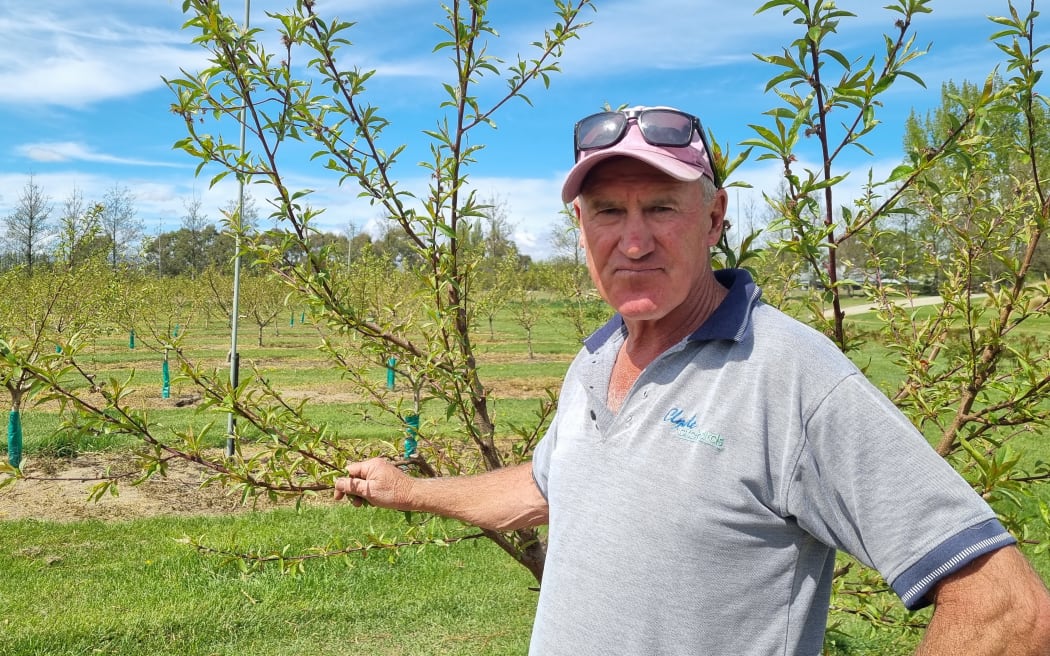 Clyde Orchard owner Kevin Paulin.