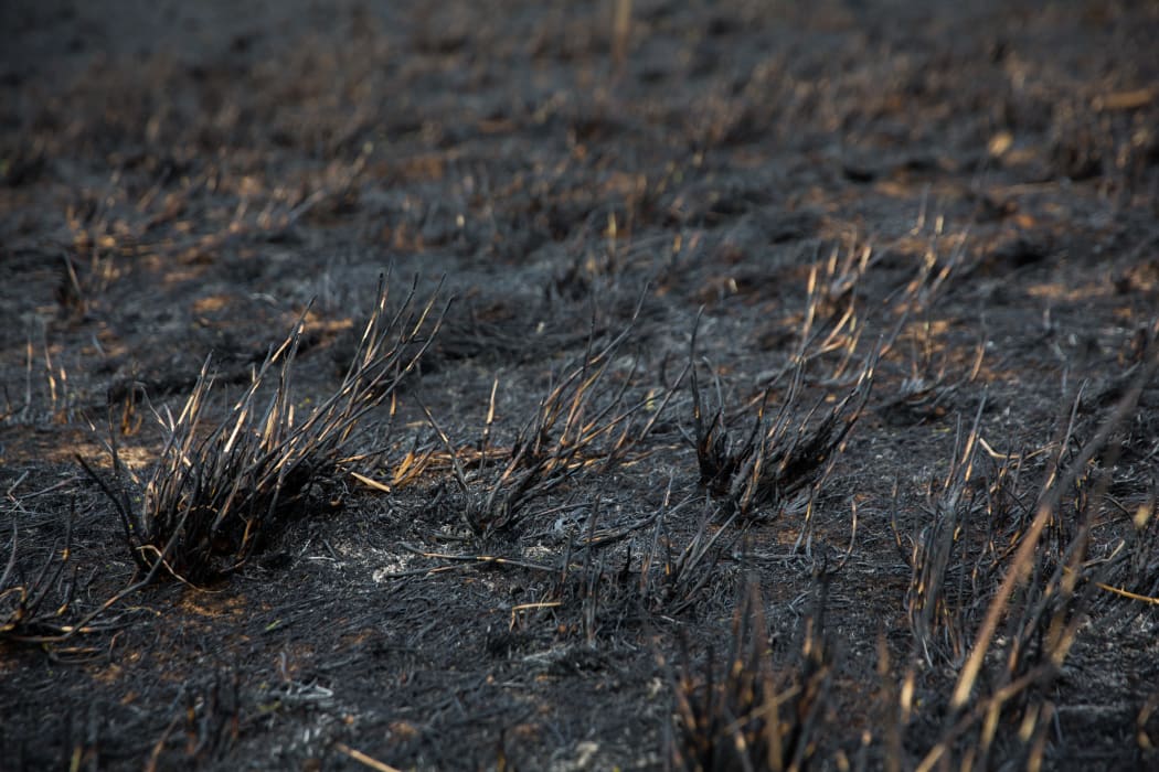 Scorched land in the Hawkes Bay area.