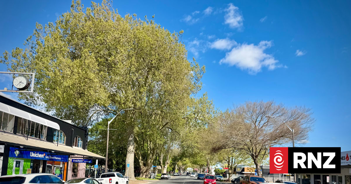 Hamilton East: Will the city of the future predict the election again?