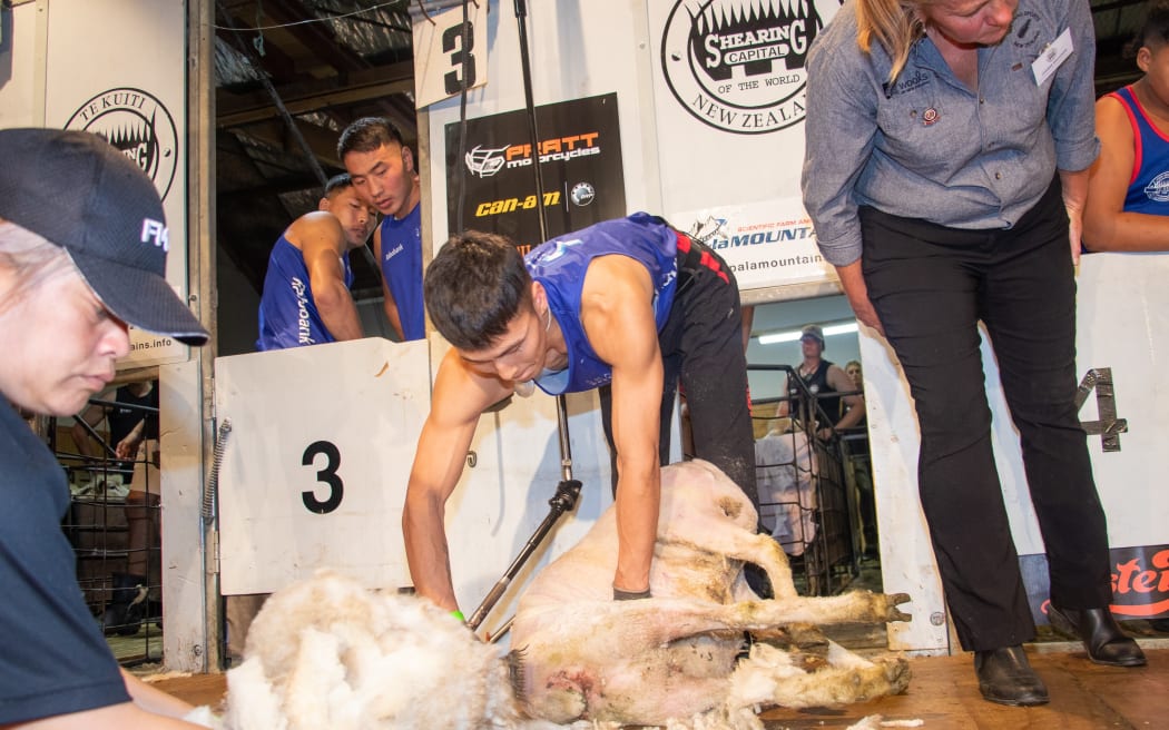 The team in action at the recent NZ Shearing champs