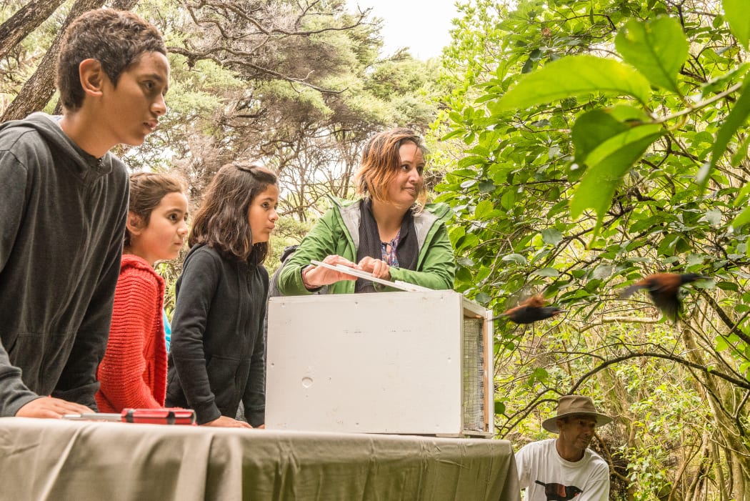 Project Island Song supporters help release rare saddlebacks onto pest-free islands in the Bay of Islands, in 2015.