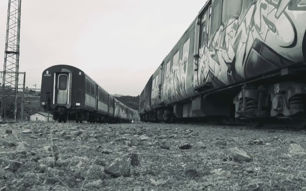 Dumped trains in Taumarunui.
