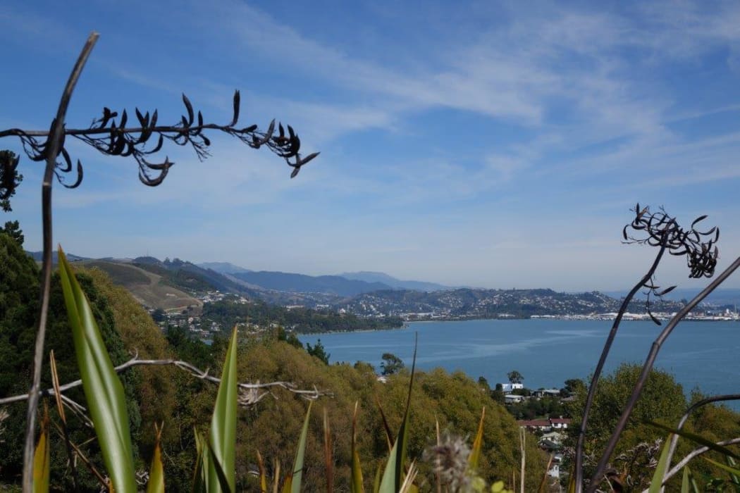 Nelson is among the country's fastest growing regions, but growth is limited by its hilly surrounds. Available land for housing is at a premium.